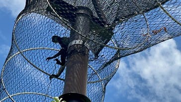 九十九島動植物園森きららに投稿された画像（2023/8/27）