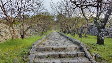 今帰仁城跡に投稿された画像（2023/8/27）