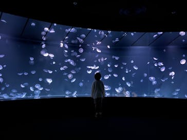 サンシャイン水族館に投稿された画像（2023/8/27）