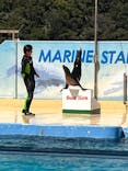 下田海中水族館に投稿された画像（2023/8/27）