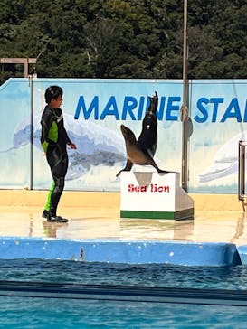 下田海中水族館に投稿された画像（2023/8/27）