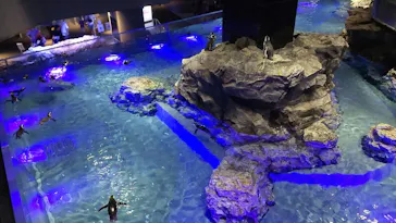 すみだ水族館に投稿された画像（2023/8/27）