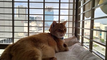 カワスイ 川崎⽔族館に投稿された画像（2023/8/27）