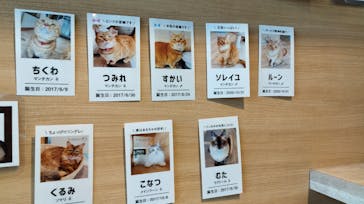 カワスイ 川崎⽔族館に投稿された画像（2023/8/27）