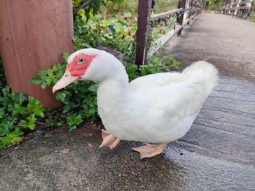 美らヤシパークオキナワ・東南植物楽園に投稿された画像（2023/8/27）