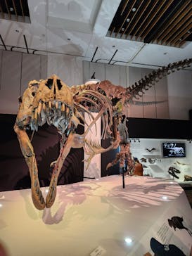 DinoScience 恐竜科学博 2023@TOKYO MIDTOWNに投稿された画像（2023/8/27）