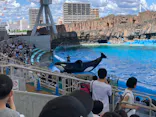 名古屋港水族館に投稿された画像（2023/8/27）