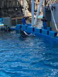 名古屋港水族館に投稿された画像（2023/8/27）