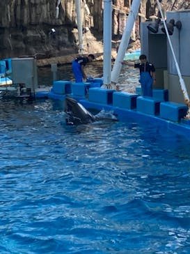 名古屋港水族館に投稿された画像（2023/8/27）