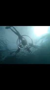 武藤潜水に投稿された画像（2023/8/27）