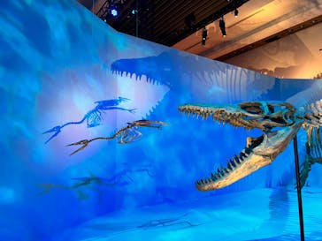 DinoScience 恐竜科学博 2023@TOKYO MIDTOWNに投稿された画像（2023/8/27）