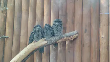 神戸どうぶつ王国に投稿された画像（2023/8/27）