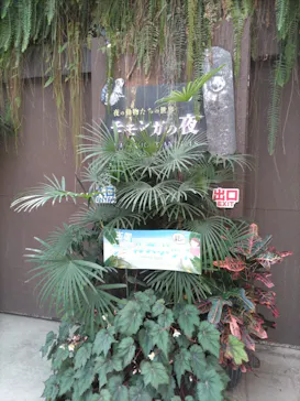 神戸どうぶつ王国に投稿された画像（2023/8/27）