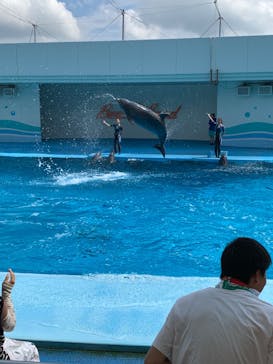 日本モンキーパークに投稿された画像（2023/8/27）