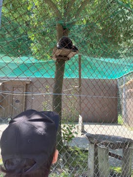 阿蘇カドリー・ドミニオンに投稿された画像（2023/8/27）