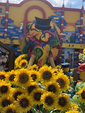 レゴランドⓇ・ジャパン・リゾートに投稿された画像（2023/8/27）