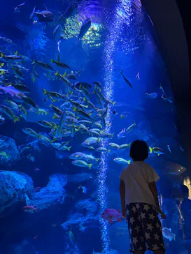 すみだ水族館に投稿された画像（2023/8/27）