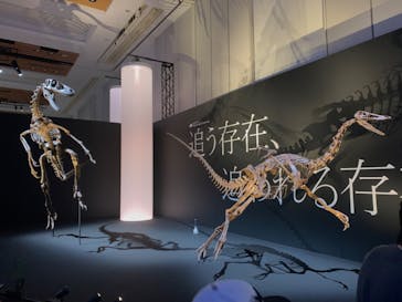 DinoScience 恐竜科学博 2023@TOKYO MIDTOWNに投稿された画像（2023/8/27）