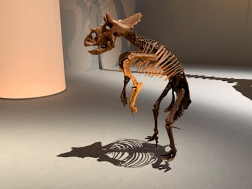 DinoScience 恐竜科学博 2023@TOKYO MIDTOWNに投稿された画像（2023/8/27）