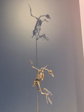 DinoScience 恐竜科学博 2023@TOKYO MIDTOWNに投稿された画像（2023/8/27）