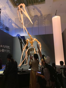 DinoScience 恐竜科学博 2023@TOKYO MIDTOWNに投稿された画像（2023/8/27）