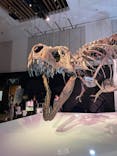 DinoScience 恐竜科学博 2023@TOKYO MIDTOWNに投稿された画像（2023/8/27）