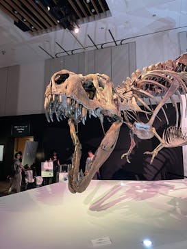 DinoScience 恐竜科学博 2023@TOKYO MIDTOWNに投稿された画像（2023/8/27）