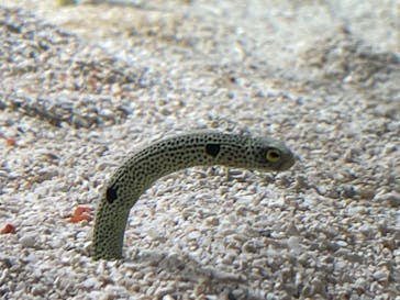 AOAO SAPPOROに投稿された画像（2023/8/27）