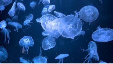 AOAO SAPPOROに投稿された画像（2023/8/27）