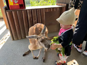 神戸どうぶつ王国に投稿された画像（2023/8/27）