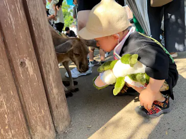 神戸どうぶつ王国に投稿された画像（2023/8/27）