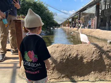 神戸どうぶつ王国に投稿された画像（2023/8/27）