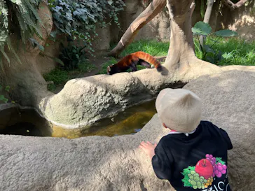 神戸どうぶつ王国に投稿された画像（2023/8/27）