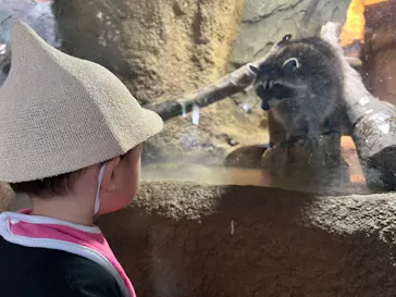 神戸どうぶつ王国に投稿された画像（2023/8/27）