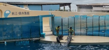 新江ノ島水族館に投稿された画像（2023/8/27）