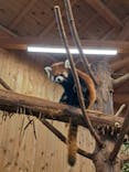 伊豆シャボテン動物公園に投稿された画像（2023/8/27）