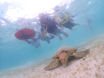 宮古島マリン GB QUESTに投稿された画像（2023/8/27）