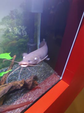 ぶっとんでるいきもの展に投稿された画像（2023/8/27）