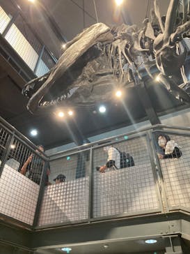 福井県立恐竜博物館に投稿された画像（2023/8/27）
