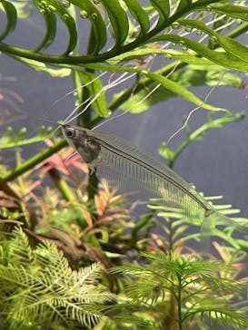 名古屋港水族館に投稿された画像（2023/8/27）