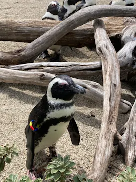 仙台うみの杜水族館に投稿された画像（2023/8/27）