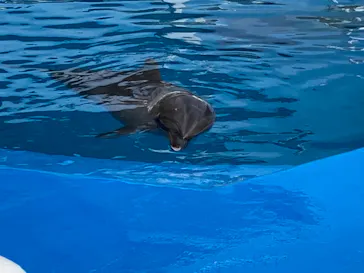 仙台うみの杜水族館に投稿された画像（2023/8/27）
