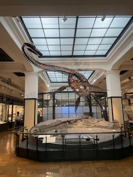 国立科学博物館に投稿された画像（2023/8/27）