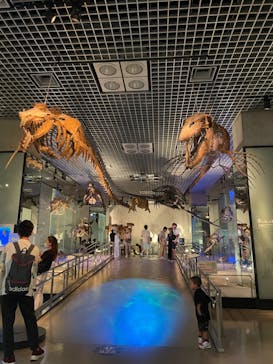 国立科学博物館に投稿された画像（2023/8/27）