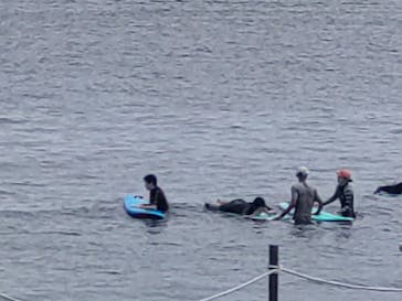 oasisに投稿された画像（2023/8/27）