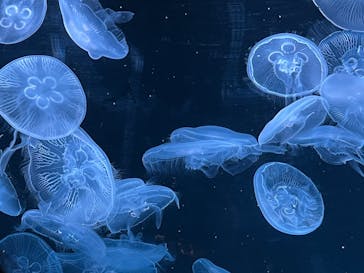 AOAO SAPPOROに投稿された画像（2023/8/27）