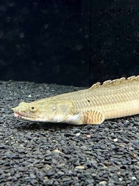 AOAO SAPPOROに投稿された画像（2023/8/27）