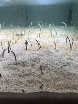 AOAO SAPPOROに投稿された画像（2023/8/27）