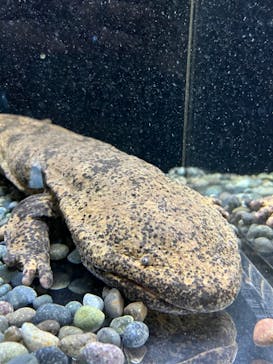 AOAO SAPPOROに投稿された画像（2023/8/27）