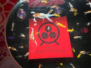 NARA IKIMONO MUSEUMに投稿された画像（2023/8/27）